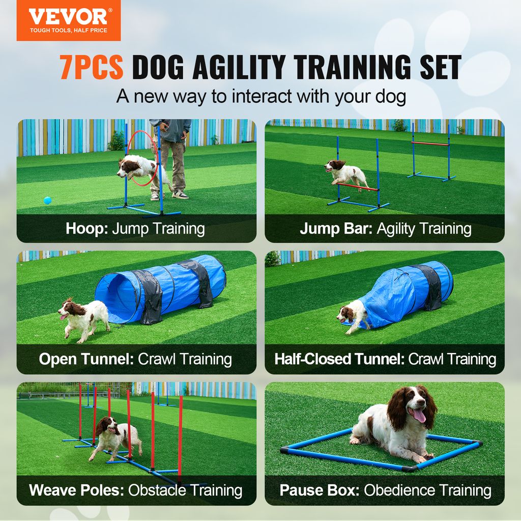 VEVOR Agility-Trainingsgerät für Hunde, 7-teiliges Set mit Produktbild 2