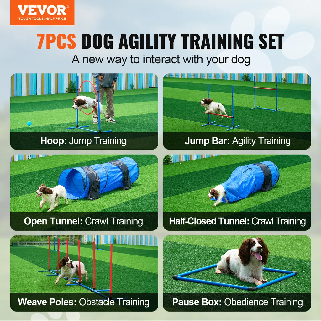Parcours Obstacle Chien pour Éduquer et Dépenser son Animal Facile - 2