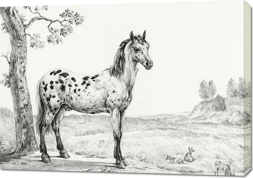 Grand Tableau Cheval Coloré 100x70 cm Jean Bernard en Couleurs Vives