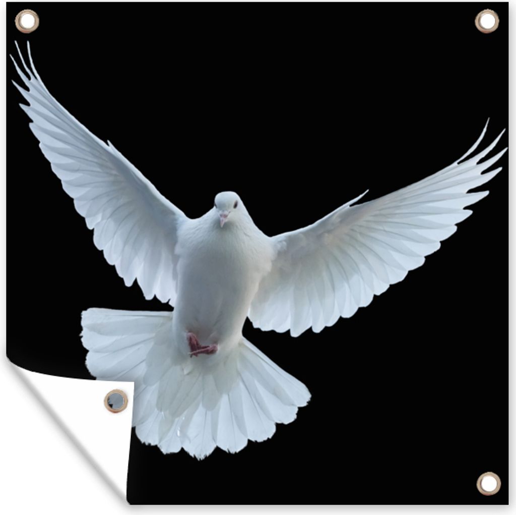 MuchoWow 100x100 cm Outdoor-Poster Gartendeko Sichtschutz Garten Poster für den Garten Taube - Vogel - Schwarz - Weiß - Porträt