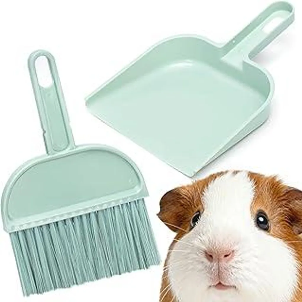 Recensione Set Pulizia Mygeromon: Mini Scopa e Paletta per Gabbie Pet
