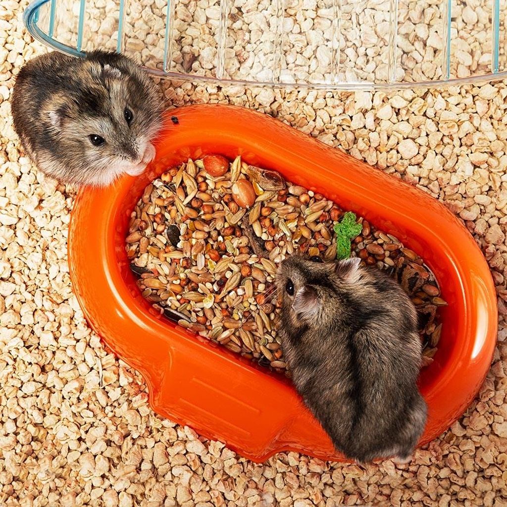 Ferplast Combi 1 Hamster Transparent, Blanc Image du produit 