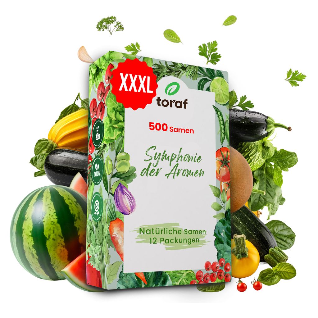 Toraf Gemüsesamen Set XXL 500 Samen 12 Sorten Saatgut Gemüse Kürbis Zucchini Melone Aubergine für Garten und Balkon