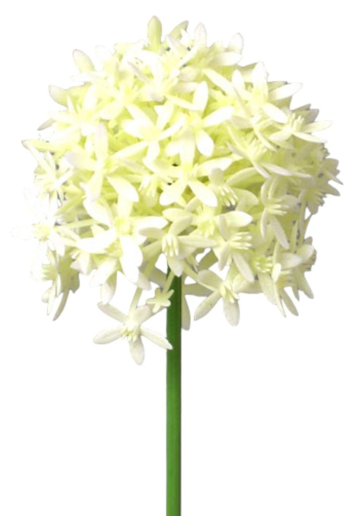 Kunstblume ALLIUM ca 64cm. Blütenkopf ca 9,5cm. CREME Produktbild 
