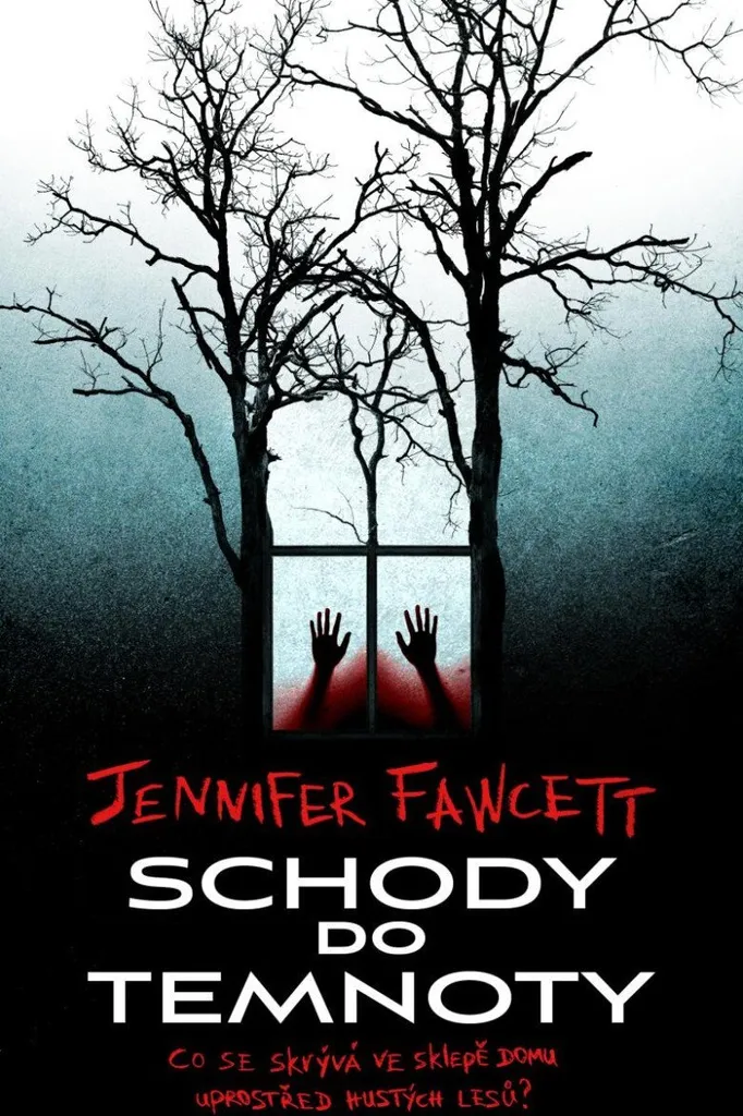 Roman à suspense Schody do temnoty pour amateurs de thrillers noirs
