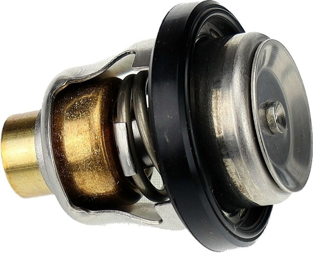 Suzuki Marine Thermostat 60° 17670-94403-000