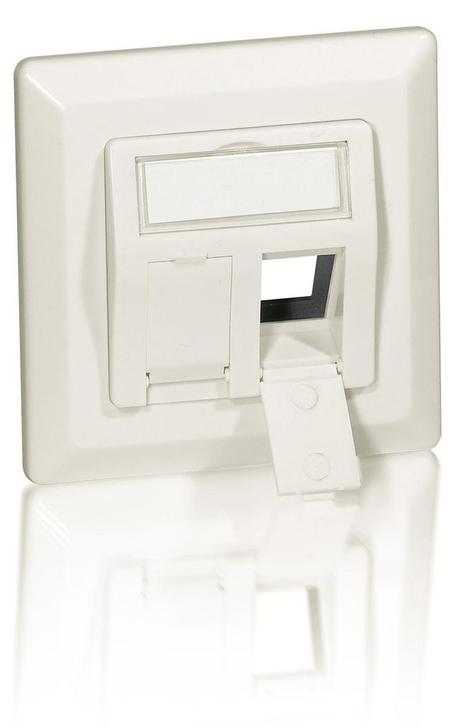 Equip Unterputzdose +Frontplatte 2 Keystone   45°   RAL Image du produit 