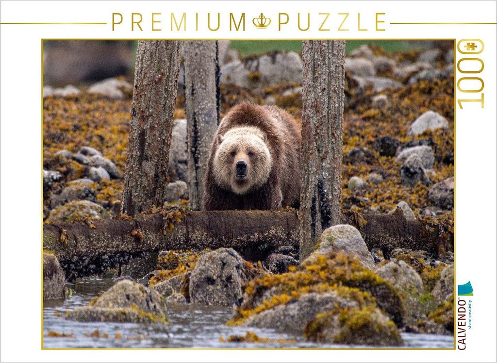 CALVENDO Puzzle Auf der Lauer | 1000 Teile Lege-Größe 64x48cm Foto-Puzzle für glückliche Stunden