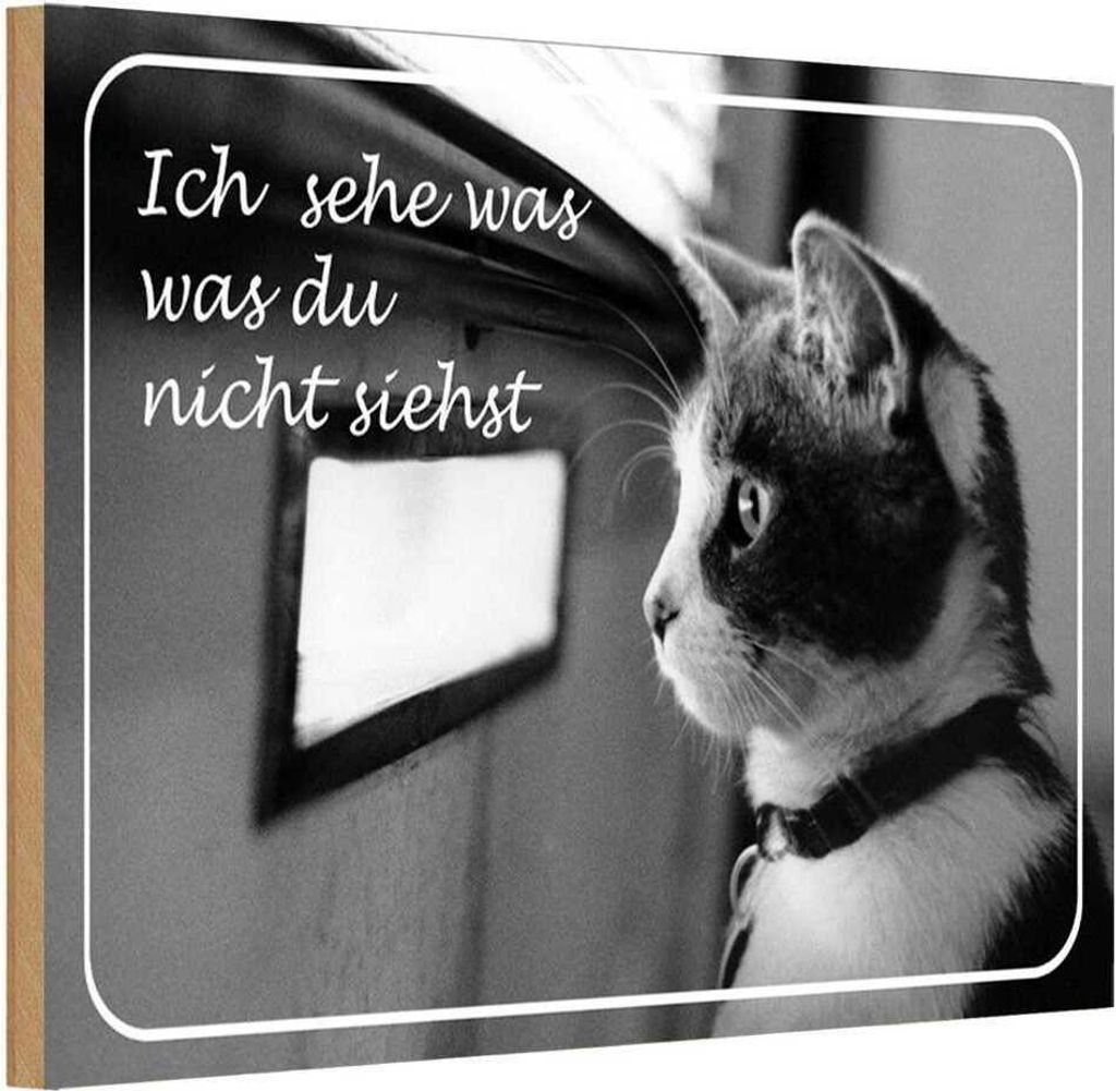 vianmo Holzschild 20x30 cm Katze ich sehe was du nicht siehst Tier Haustier