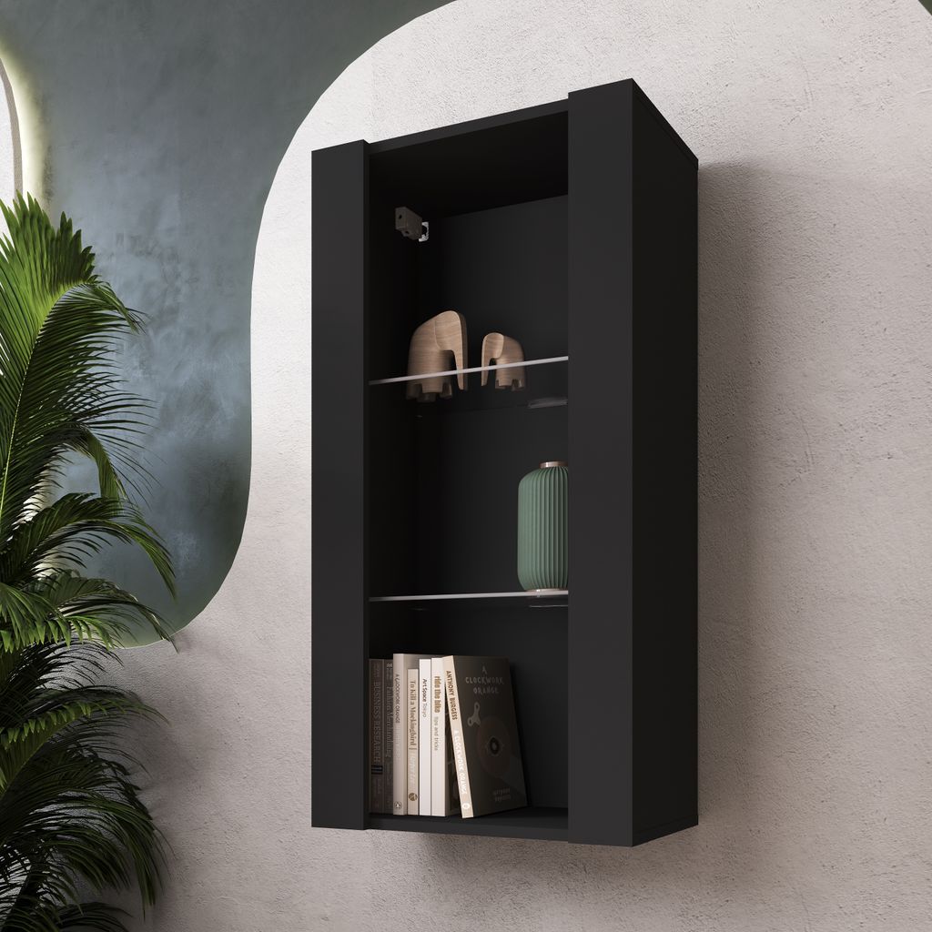 A black wall-mounted cabinet with shelves displaying decorative items and books, next to a large potted plant.