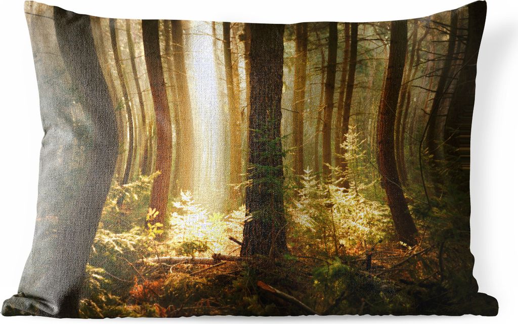 MuchoWow Outdoor Kissen - Wald - Bäume - Sonne - 60x40 cm - Wetterfest - Lounge Kissen - Zierkissen - Kissen für Innenräume