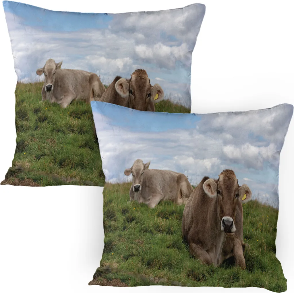 Lot de 2 housses de coussin ABAKUHAUS Vaches de la ferme, 80 x 80 cm