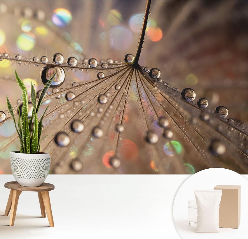 Fototapete - 208x146 cm - Tapete - Wandtapete - Wandbilder - Dekofolie - Tapete Folie - Wand - Dekoration - Wohnzimmer - Perlentropfen