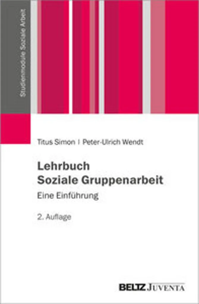 Réussir le travail social de groupe : Lehrbuch Soziale Gruppenarbeit Guide