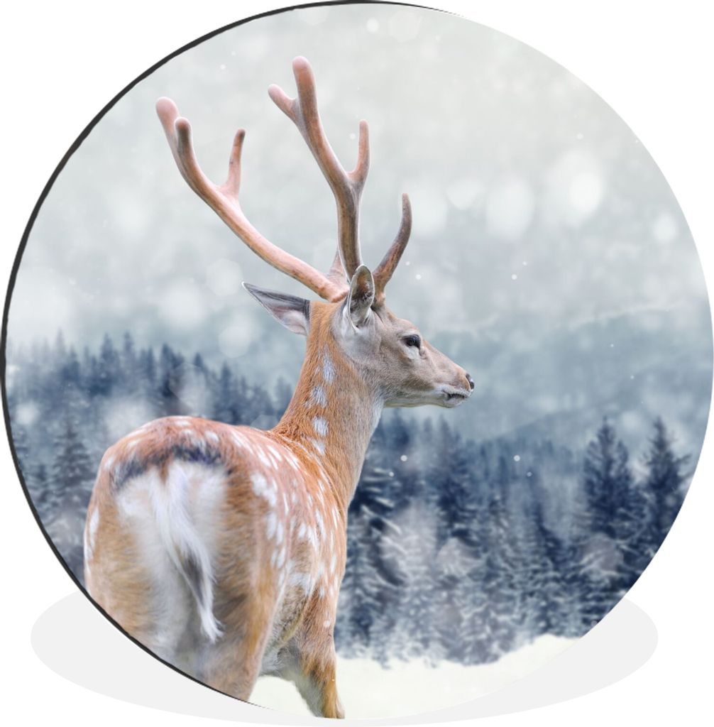 MuchoWow Aluminium Wandkreis Winter - Hirsche - Tiere Ø 60 cm Wanddeko Modern Wohnzimmer - Wand Kreis - Wandbild - Schlafzimmer - Aluminium Bild...