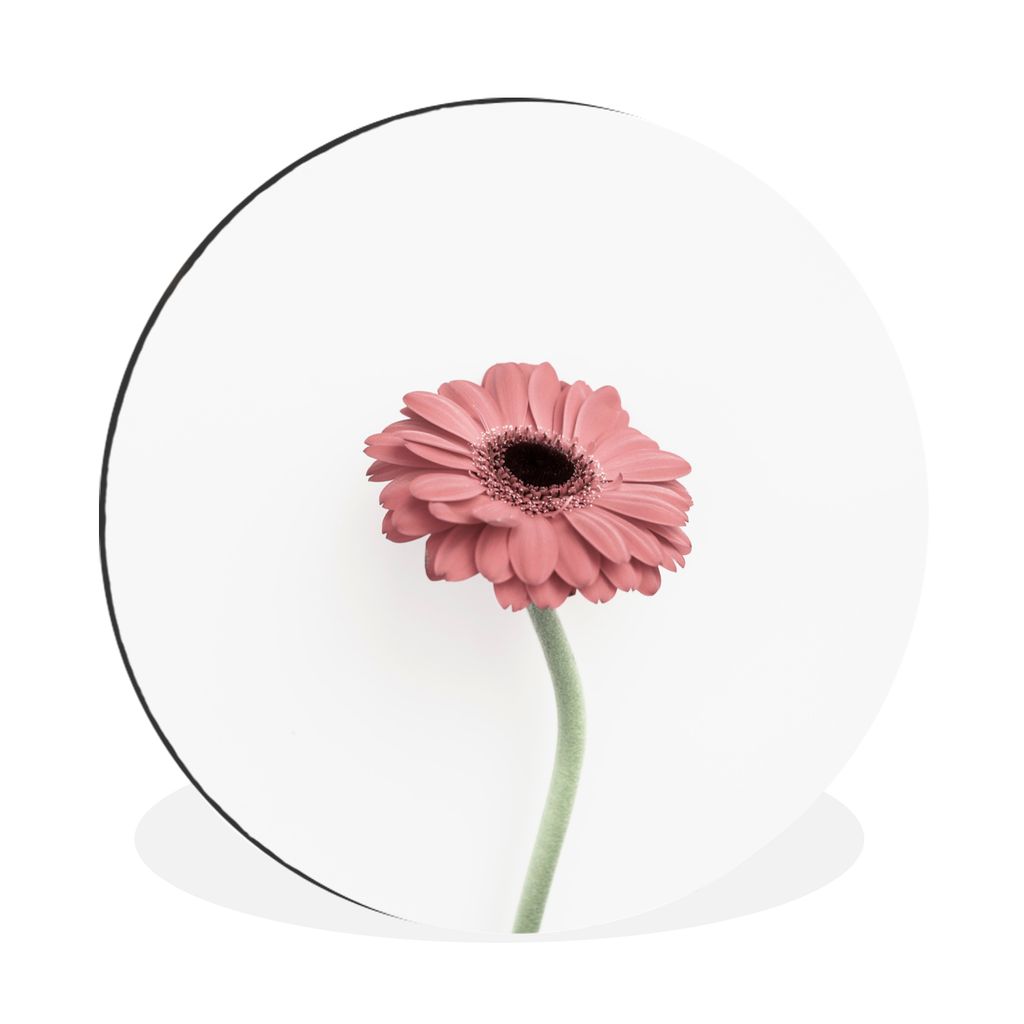 MuchoWow Aluminium Wandkreis Blumen - Rosa - Natur - Weiß - Pflanze Ø 90 cm Wanddeko Modern Wohnzimmer - Mauerkreis - Wandbilder - Runde Bild -...