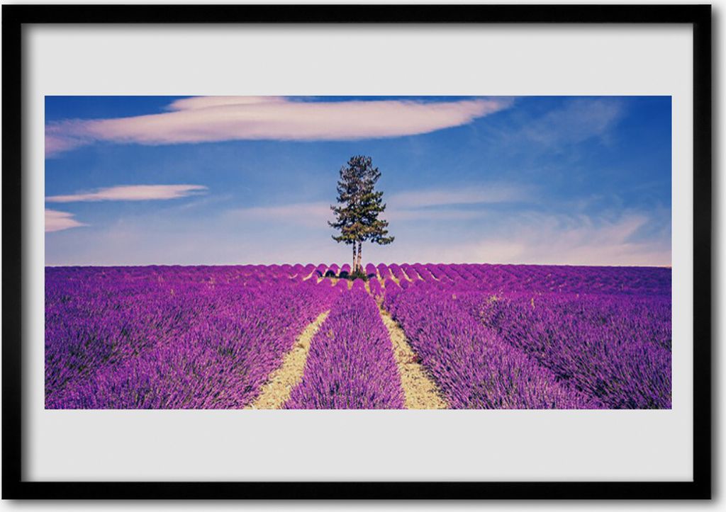 Bild 100x70 MDF-Rahmen Wandkunst Lavendel, Feld, Wiese Baum