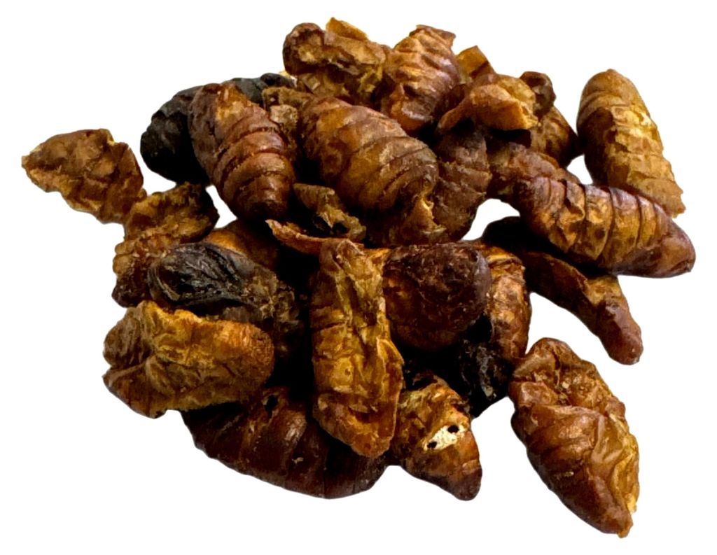 Koi Herdecke getrocknete Seidenraupen 1,2 kg - 5 Liter Insekten-Snack für Teich- und Fischfutter - Gesundes Futter für Koi, Fische, Vögel, Repti...