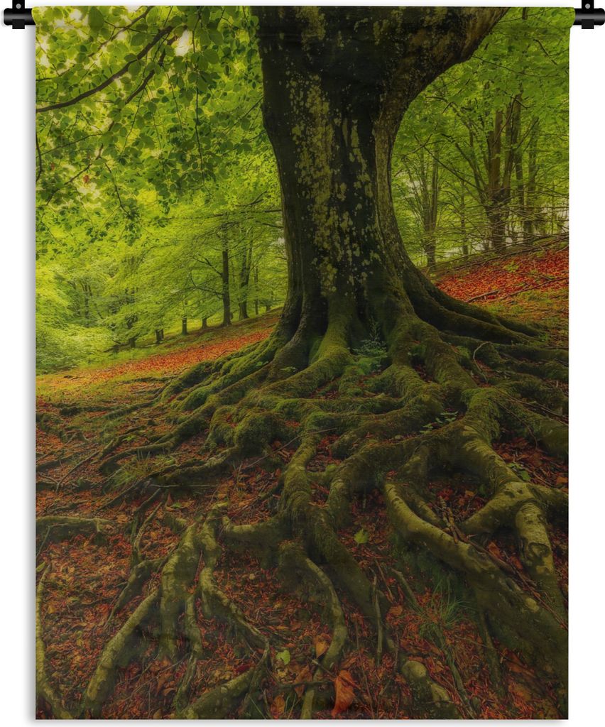 MuchoWow Wandteppich Wandbehang Baum - Wald - Herbstblätter 60x80 cm Tapisserie Dekoration Wandtuch - Decke - Wandtücher - Wohne