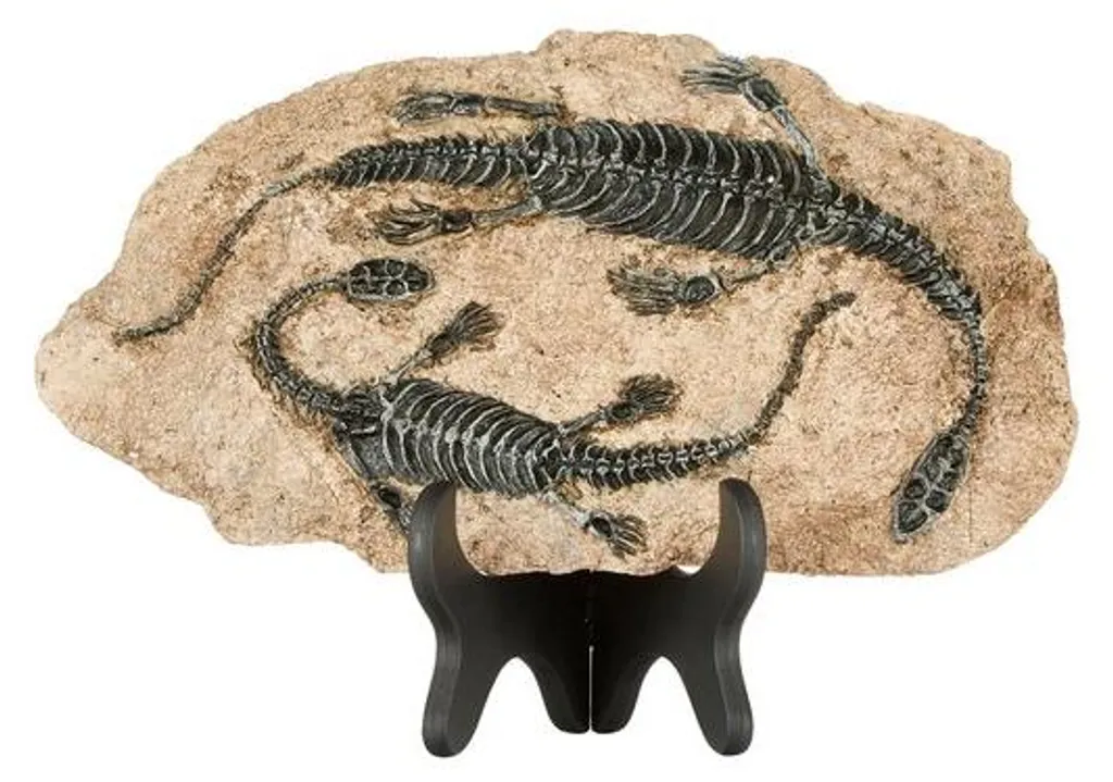 Squelette dinosaure noir en résine : déco originale sans encombrement
