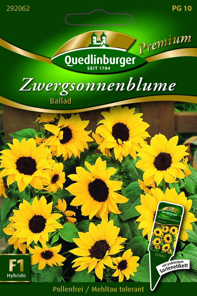 Quedlinburger Saatgut - Zwerg-Sonnenblumen Ballad - Samen - Produktbild 