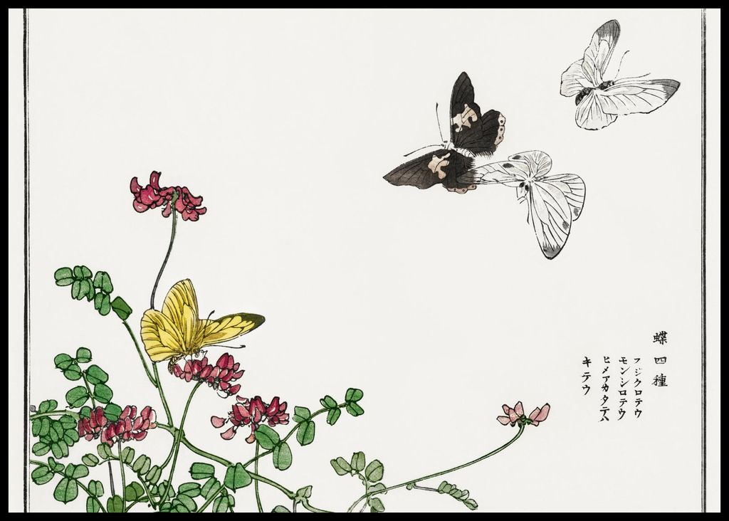 Plakat 84x59,5cm Schmetterlinge und Blumen Morimoto Toko Japanisch Vintage für das Wohnzimmer