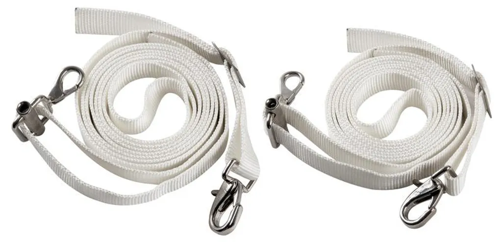 Sangle de fixation ultra robuste 2,5x300 cm avec boucle de serrage acier