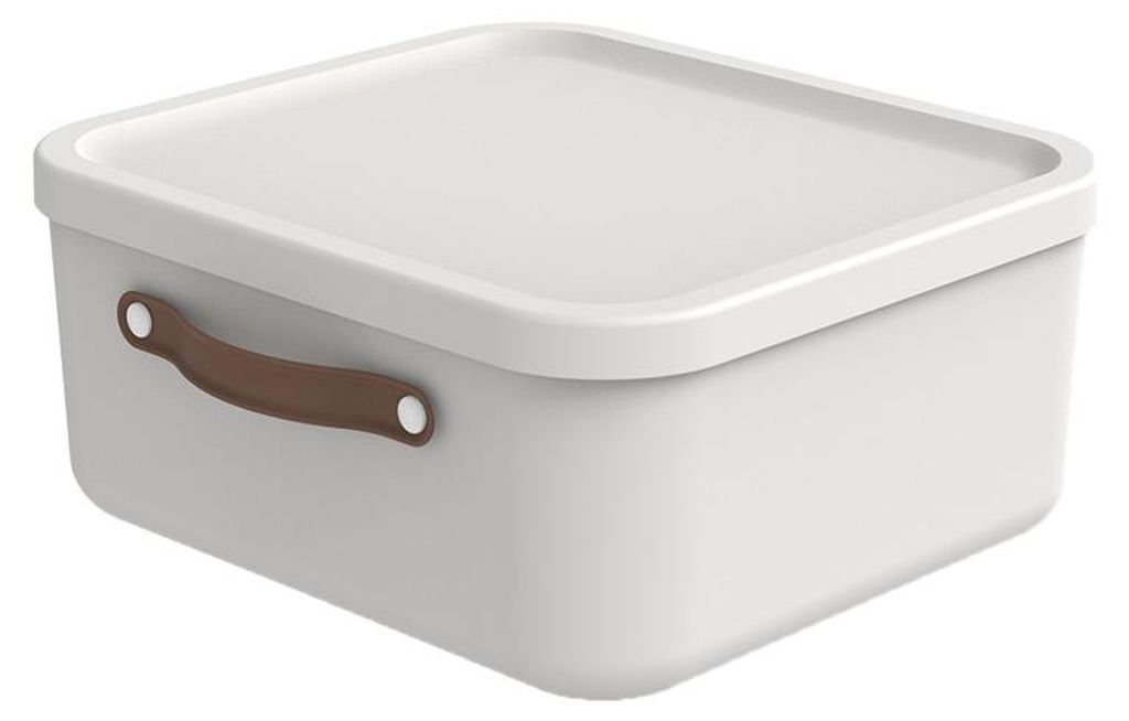 Rotho Aufbewahrungsbox 20 L Maloja - Kunststoffbox mit Produktbild 