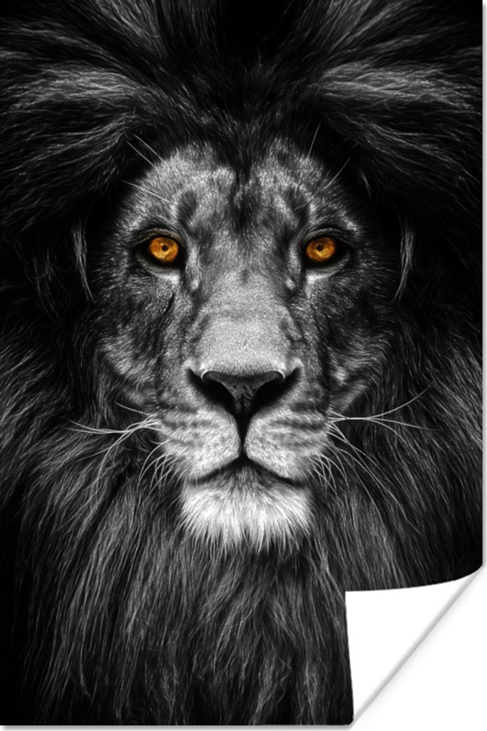 MuchoWow Poster Wildtiere - Porträt - Farbe 80x120 cm - Papierdruck