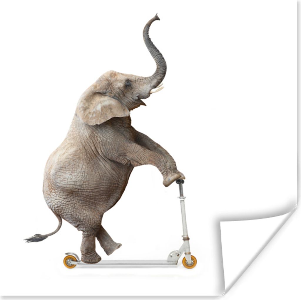 MuchoWow Poster Stufe - Elefant - Weiß 30x30 cm - Wandposter - Printing