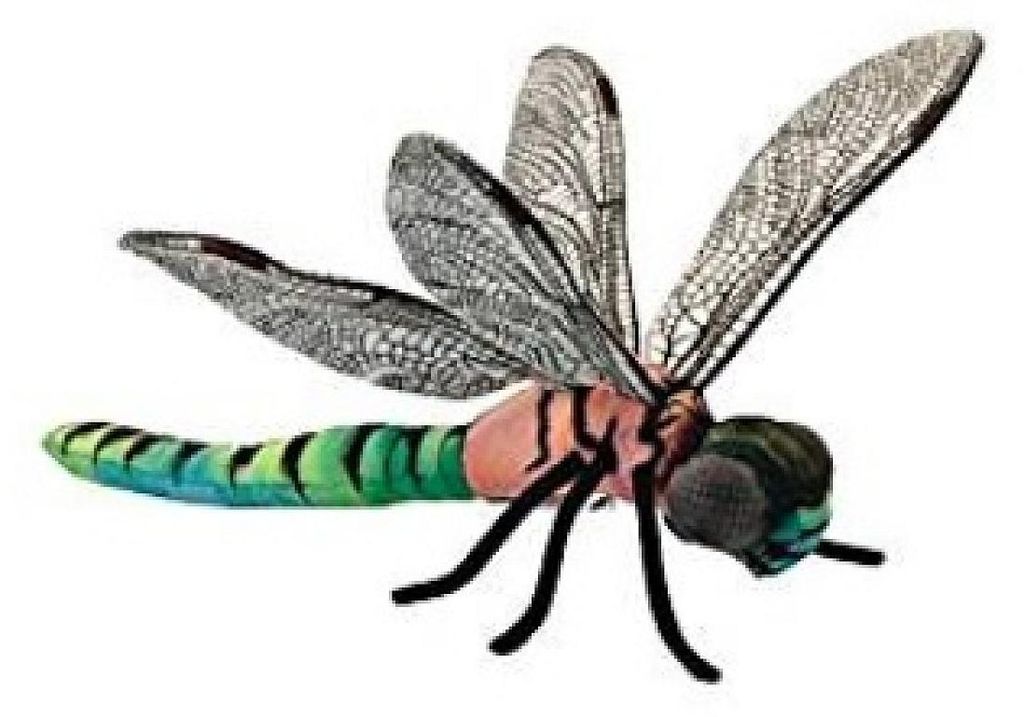 Anima Plüschtier Libelle 34 cm - Hansa Produktbild 
