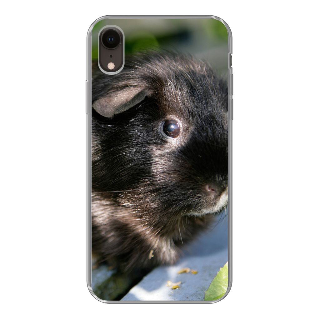 MuchoWow Handyhülle Schutzhülle Hülle für iPhone XR Meerschweinchen im Garten Silikon Softcase Handy Hülle - Schutzdeckel