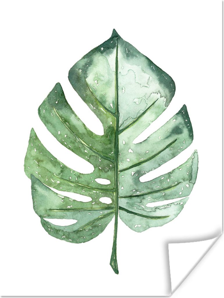 MuchoWow Poster Aquarell - Monstera - Blatt 120x160 cm - Wandbilder