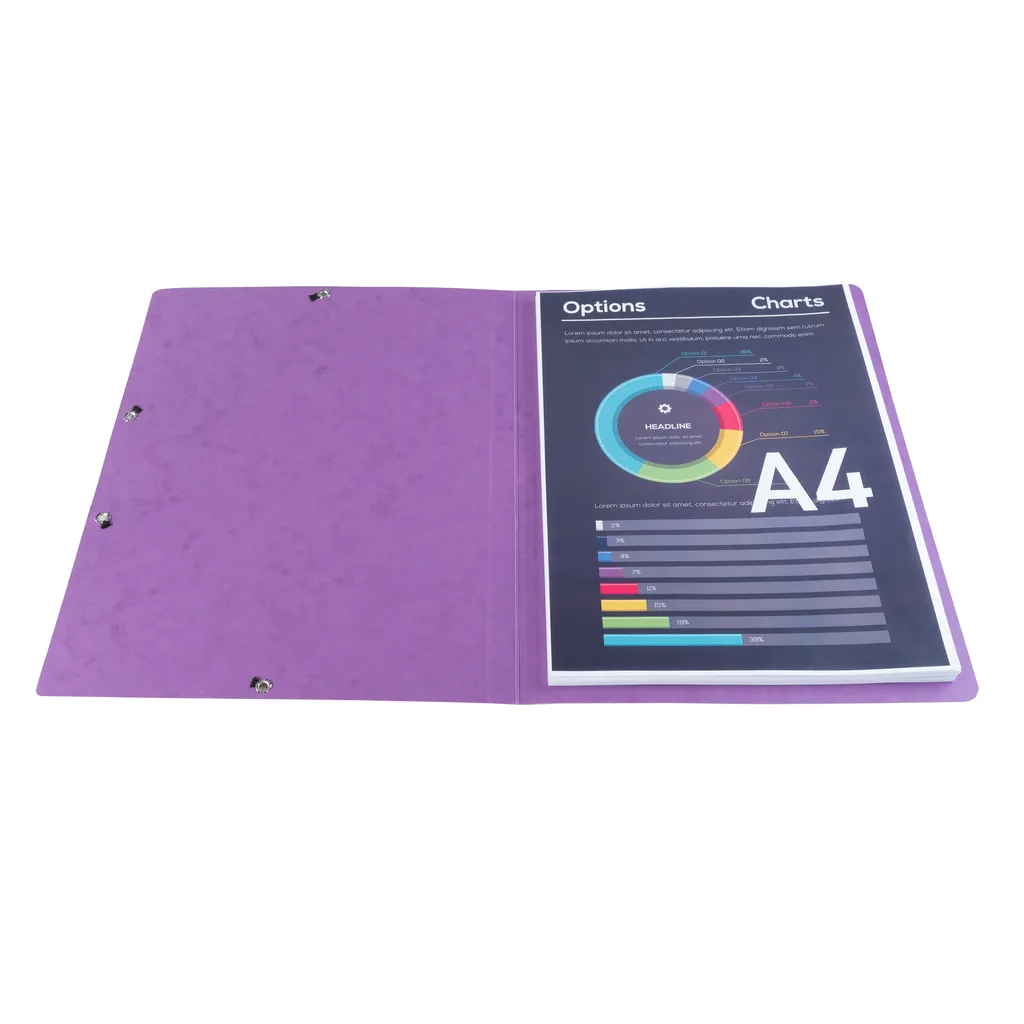 Chemise A4 Violette Rigide : Protégez vos Documents sans les Corner