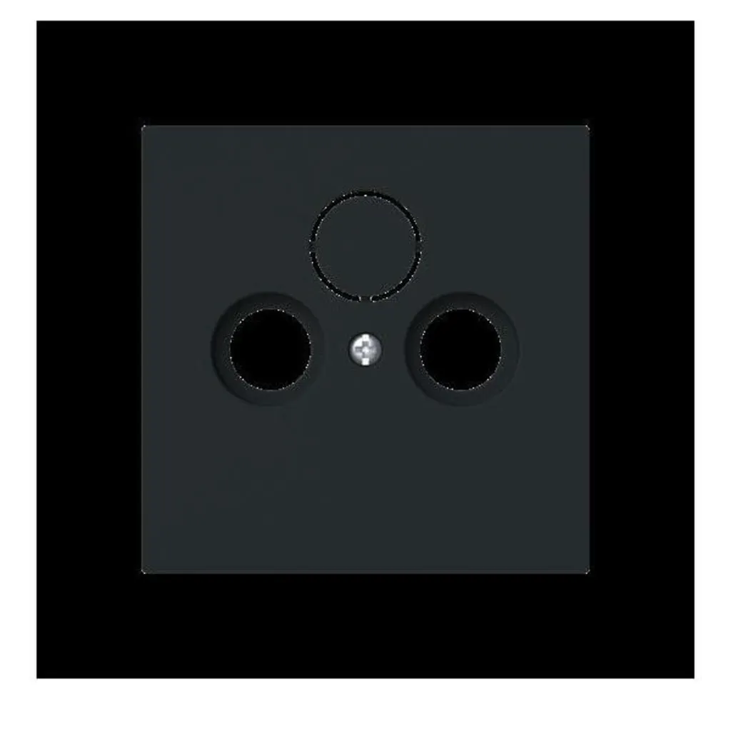 Disque Central Noir Busch-Jaeger 1743-45M Haute Résistance 1724A4435
