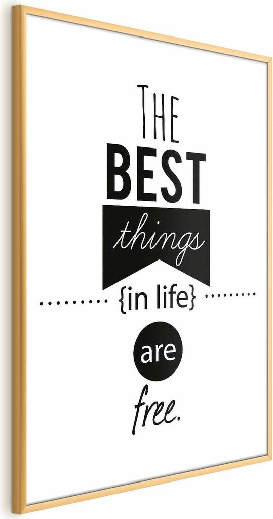 Posterpapier Poster - The Best Things in Life Are Free 40x60 cm Text n-A-0759-ao-a