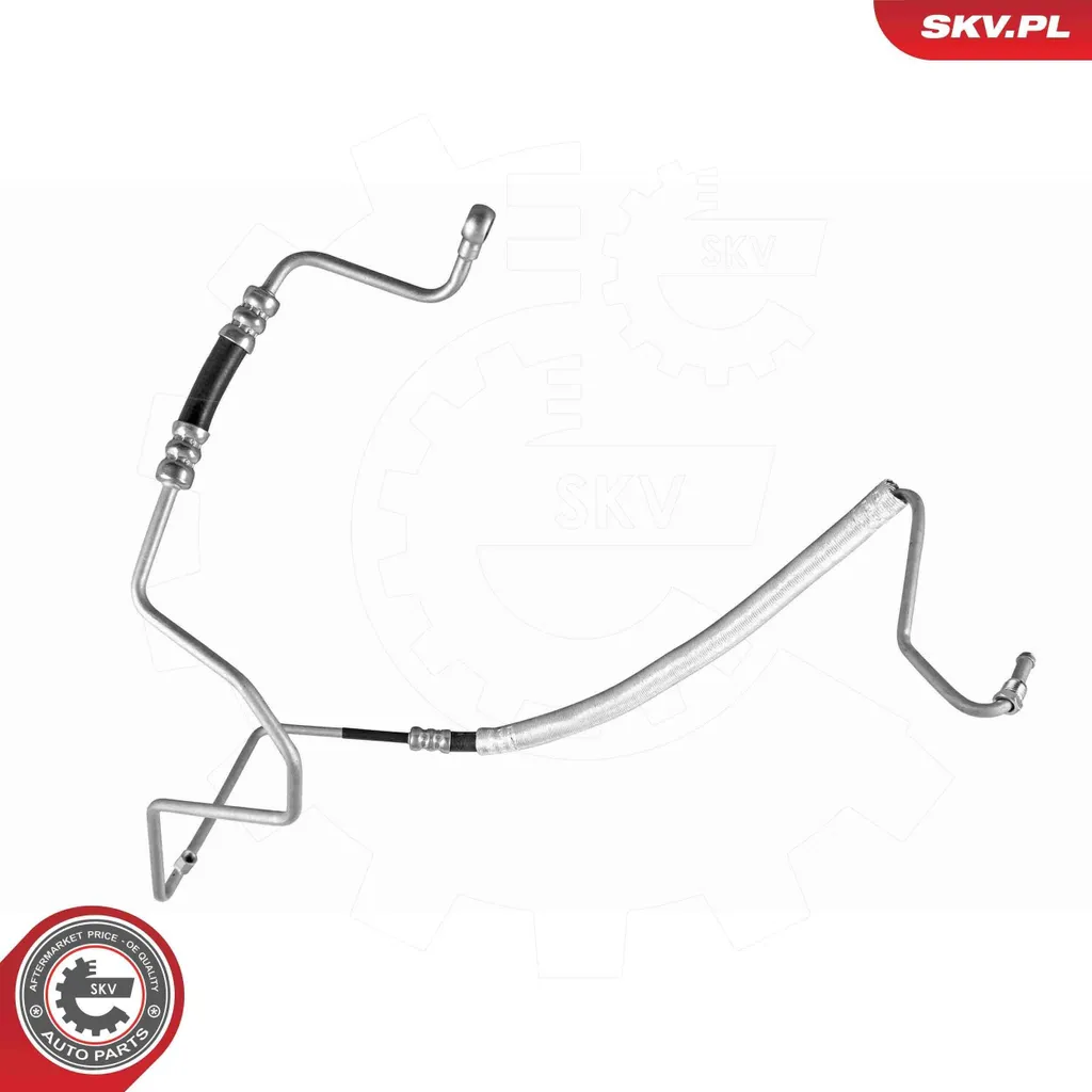Flexible de dépression pour assistance au freinage VW Lupo 6X1 6E1 10SKV996