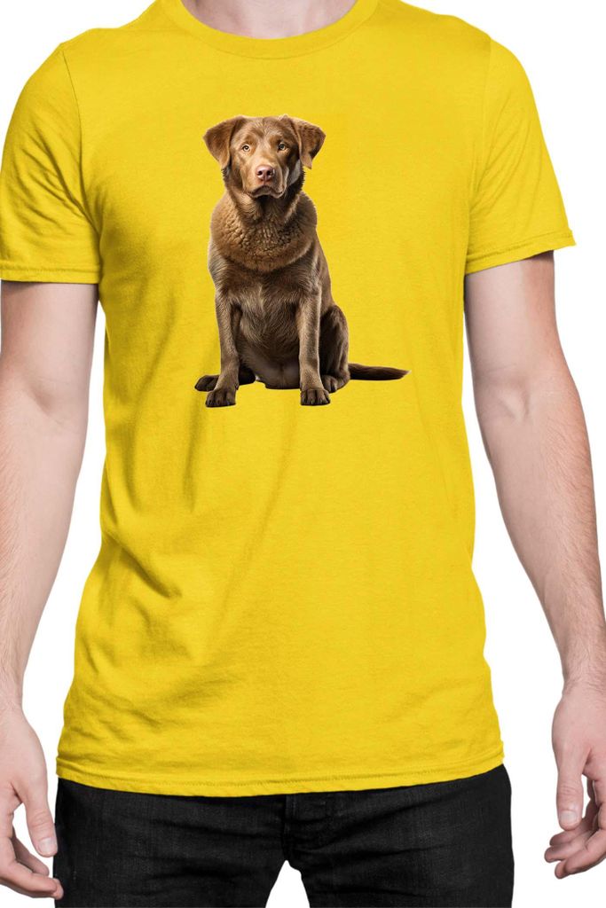 Herren T-Shirt Dogs Breeds Chesapeake Bay Retriever Dog Breed 007, Man S / Gelb