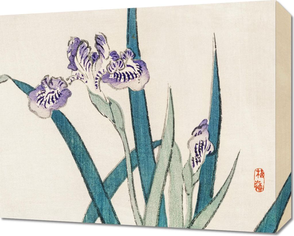 Bild 50x40cm Iris, Kōno Bairei Japanisches Vintage für das Wohnzimmer