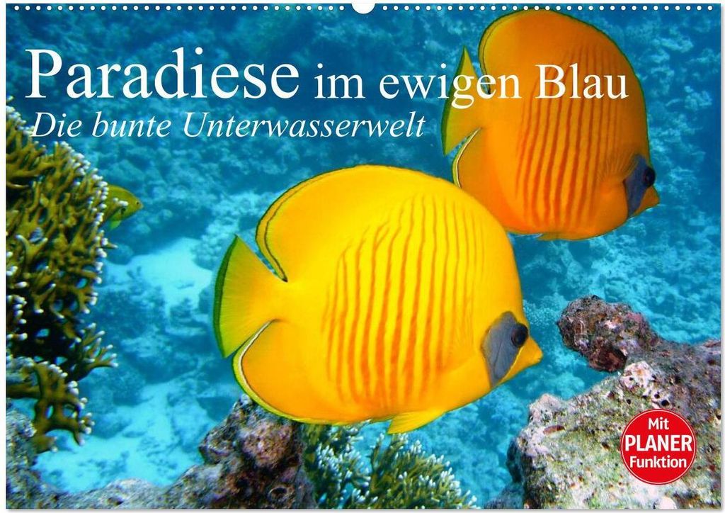 Paradiese im ewigen Blau. Die bunte Unterwasserwelt (Wandkalender 2026 DIN A2 quer), CALVENDO Monatskalender