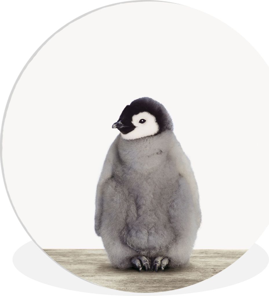 MuchoWow Rundes Wandbild - Runde Bilder Pinguin - Tiere - Baby Ø 90 cm Kreis Wanddekoration Kunststoff - Wandkreis - Wandschmuck - Wand-Kreis - ...