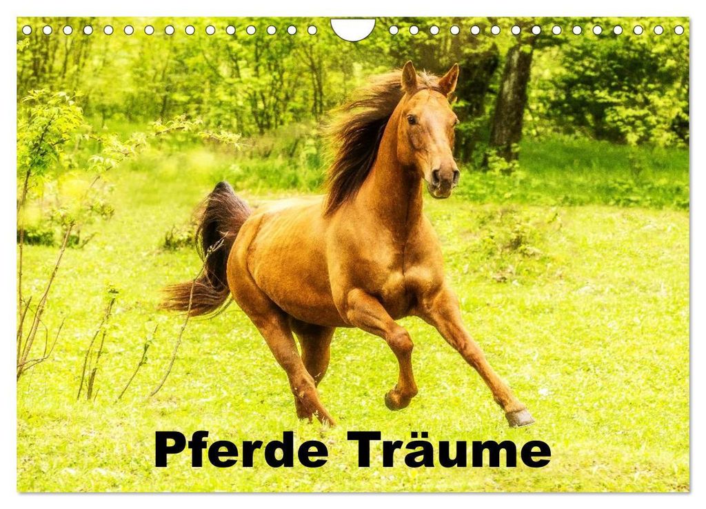 Pferde Träume (Wandkalender 2027 DIN A4 quer), CALVENDO Monatskalender