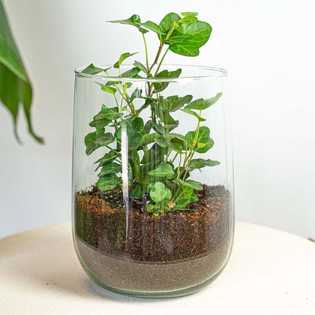 Vase Martin - DIY-Set - ↑ 17 cm