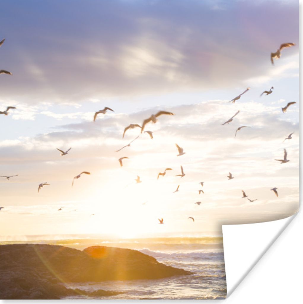 MuchoWow Poster Ruhiges Bild von Vögeln bei Sonnenuntergang 50x50 cm - Wohnzimmerdekoration