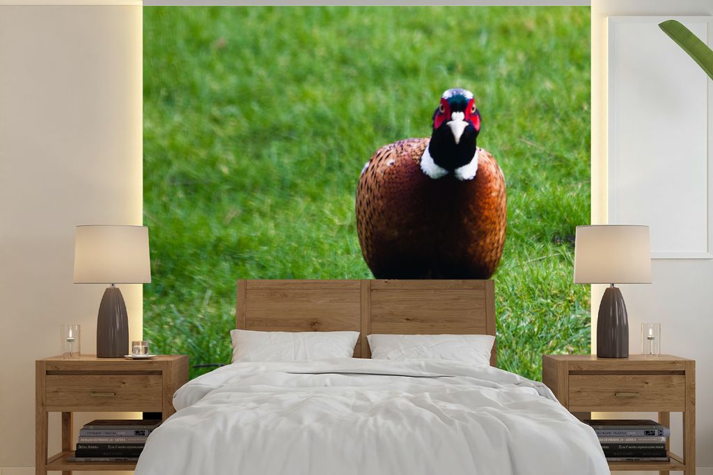 MuchoWow Fototapete für Wohnzimmer oder Schlafzimmer Wandtapete Vinyl Motivtapete Fasan - Wild - England - 260x260 cm - Papiertapeten