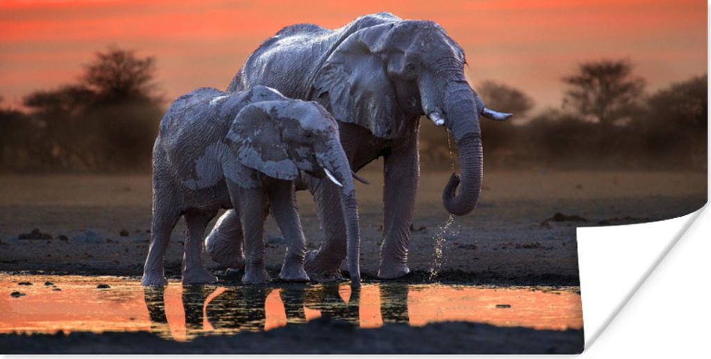 MuchoWow Poster Zwei Elefanten bei Sonnenuntergang 40x20 cm - Poster für die Wand - Poster Schlafzimmer