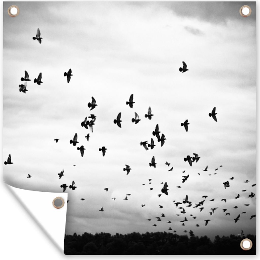 MuchoWow 50x50 cm Outdoor-Poster Gartendeko Sichtschutz Garten Poster für den Garten Tiere - Vögel - Wolken - Schwarz - Weiß