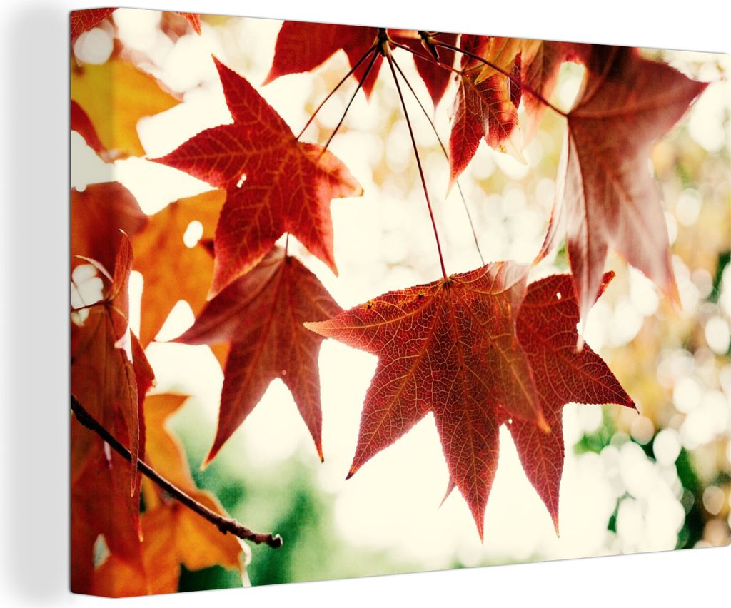 OneMillionCanvasses - Leinwandbilder - 150x100 cm, Herbstblätter - November - Natur - Bäume, Wandbilder Kunstdruck Wanddekoration - Foto auf Le...