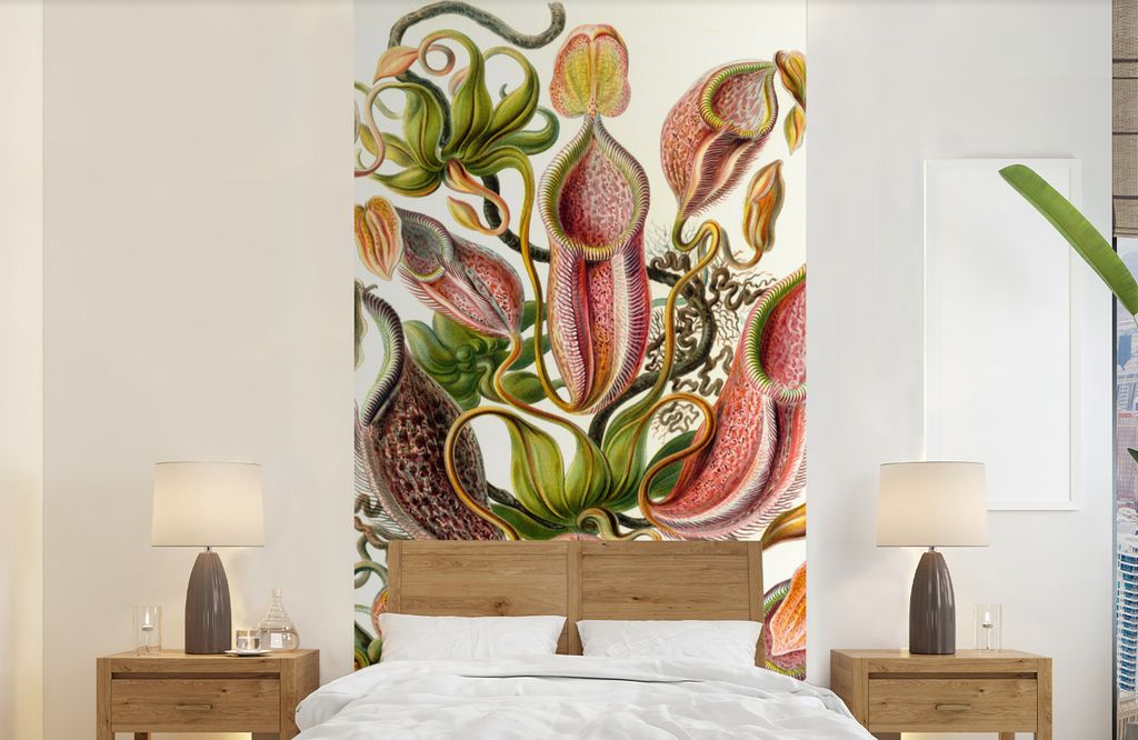 MuchoWow Fototapete für Wohnzimmer oder Schlafzimmer Wandtapete Vinyl Motivtapete Design - Fleischfressende Pflanze - Botanisch - Ernst Haeckel ...
