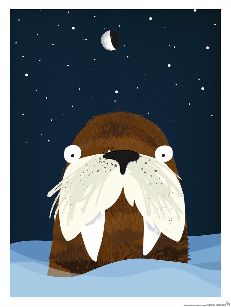 Kinderzimmer Poster Walross Polar 30 x 40 cm